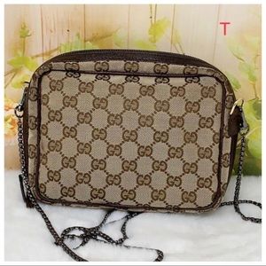 Gucci Brown and Tan Clutch